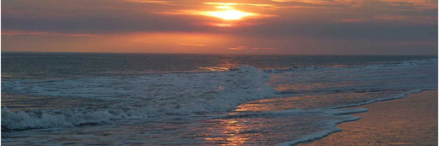 CamiGaleotti's profile banner image