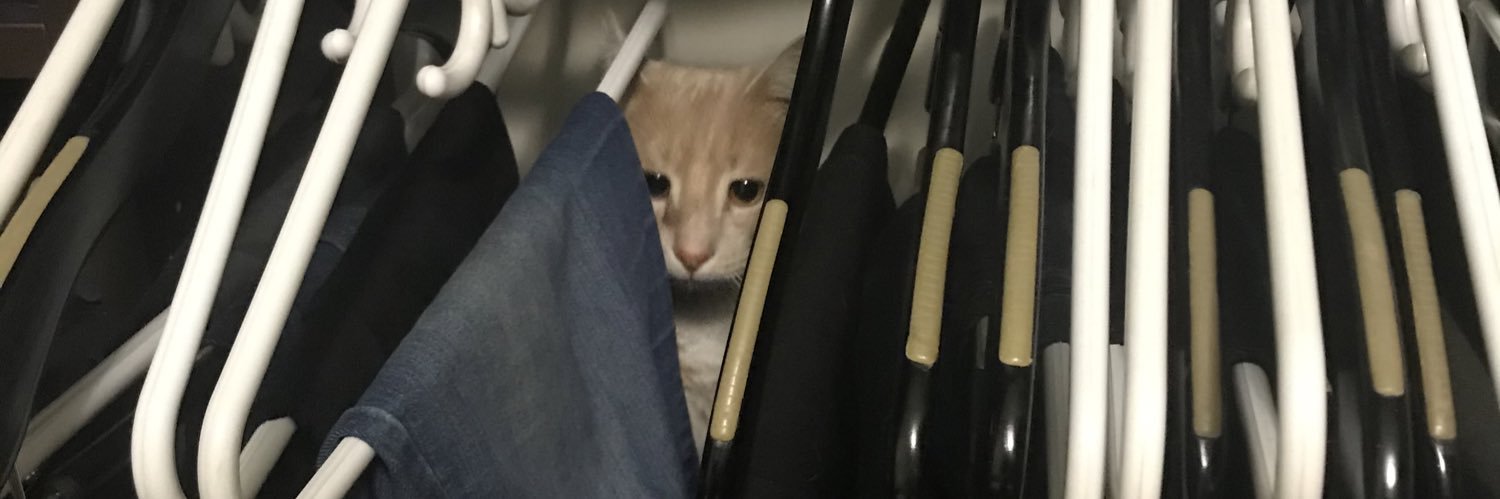 CityHallReport banner