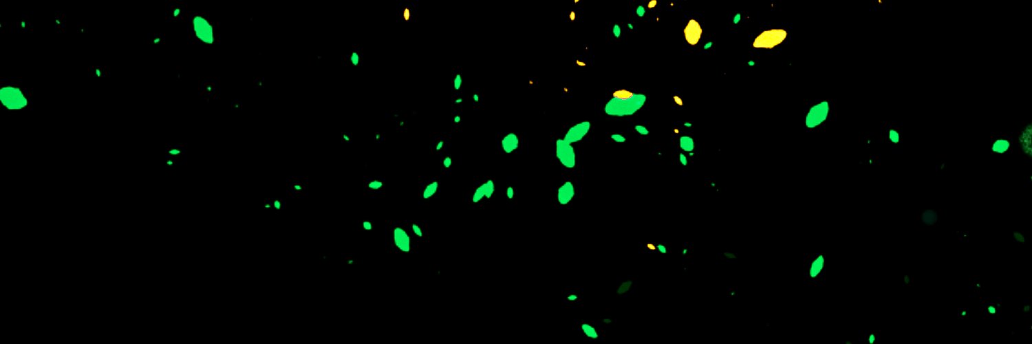 ᅠᅠ🙗 𓋜꙳ᅠ𝒏𝐚𝐭𝐮𝐫𝐞ᅠ˖. banner