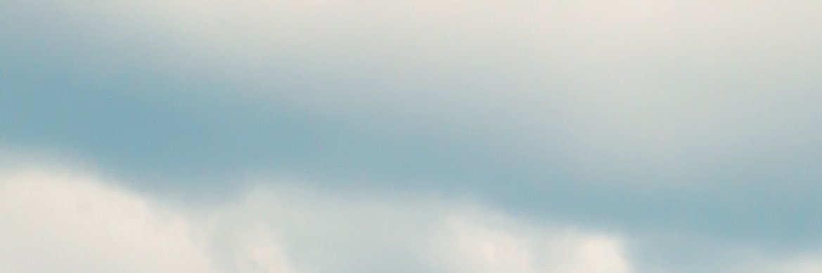 mg_1190's profile banner image