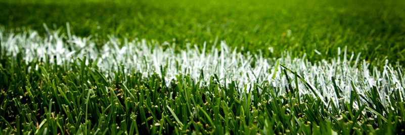 Sky_Randolph's profile banner image