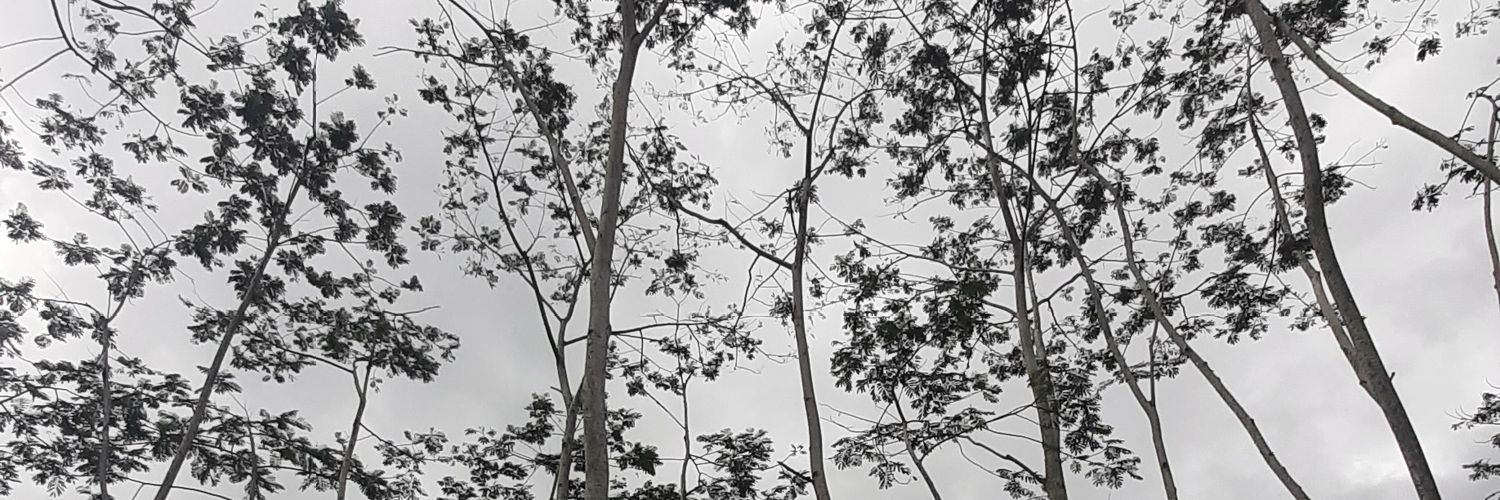 luqitasyeira's profile banner image
