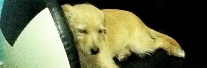 ludlowize's profile banner image