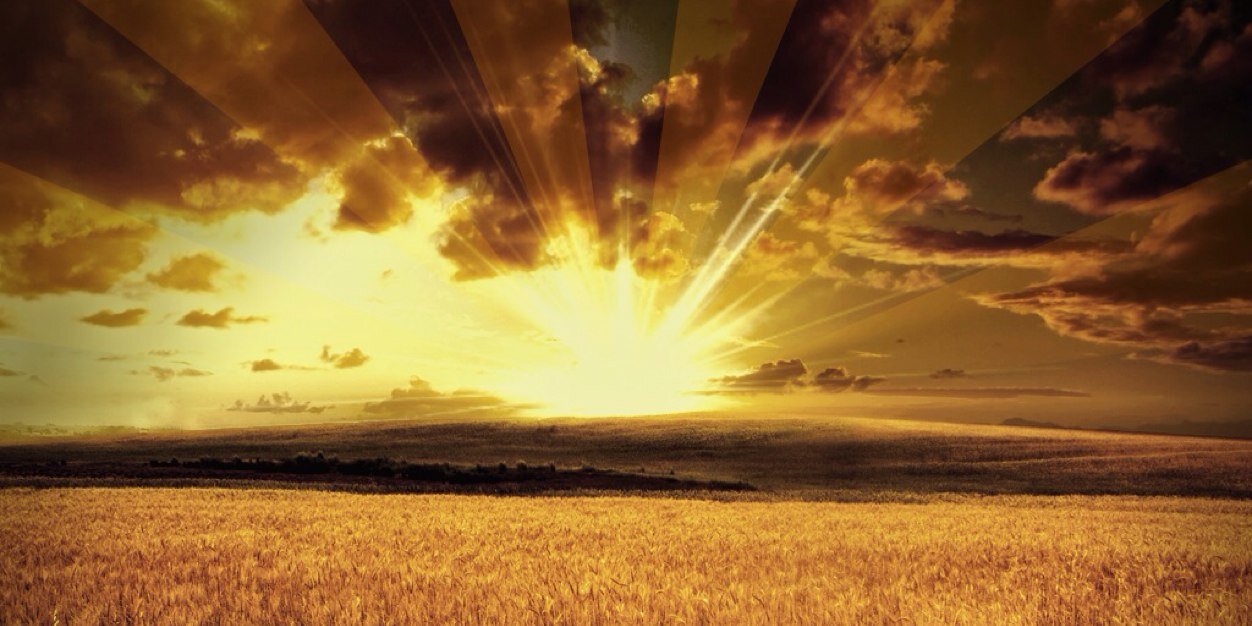 waass_s's profile banner image
