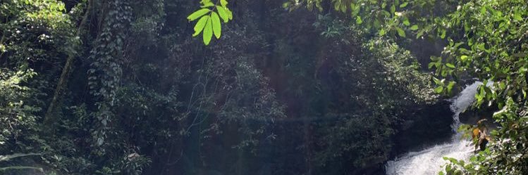 deiroleo's profile banner image