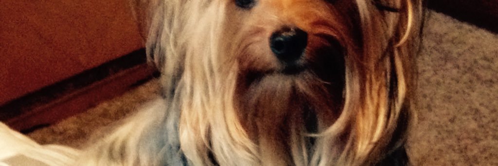 211molly's profile banner image