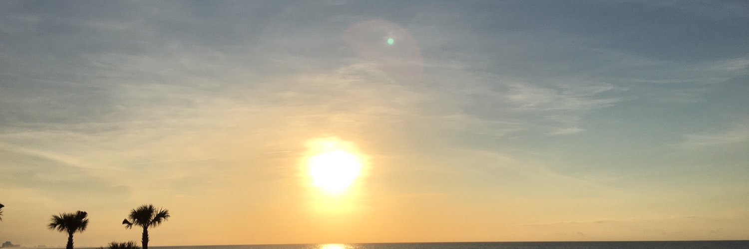 vincerobisch's profile banner image