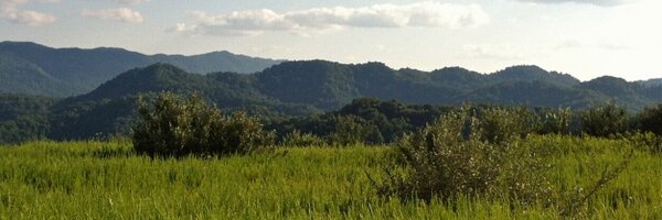 mimipick Profile Banner