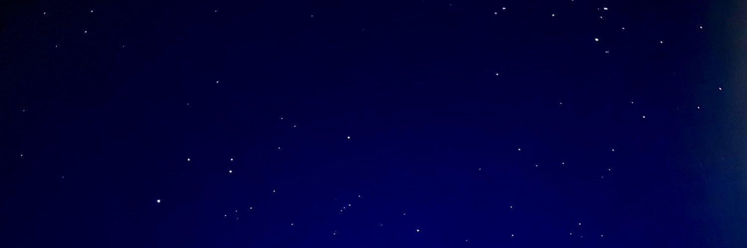 Dimitri Bauer banner