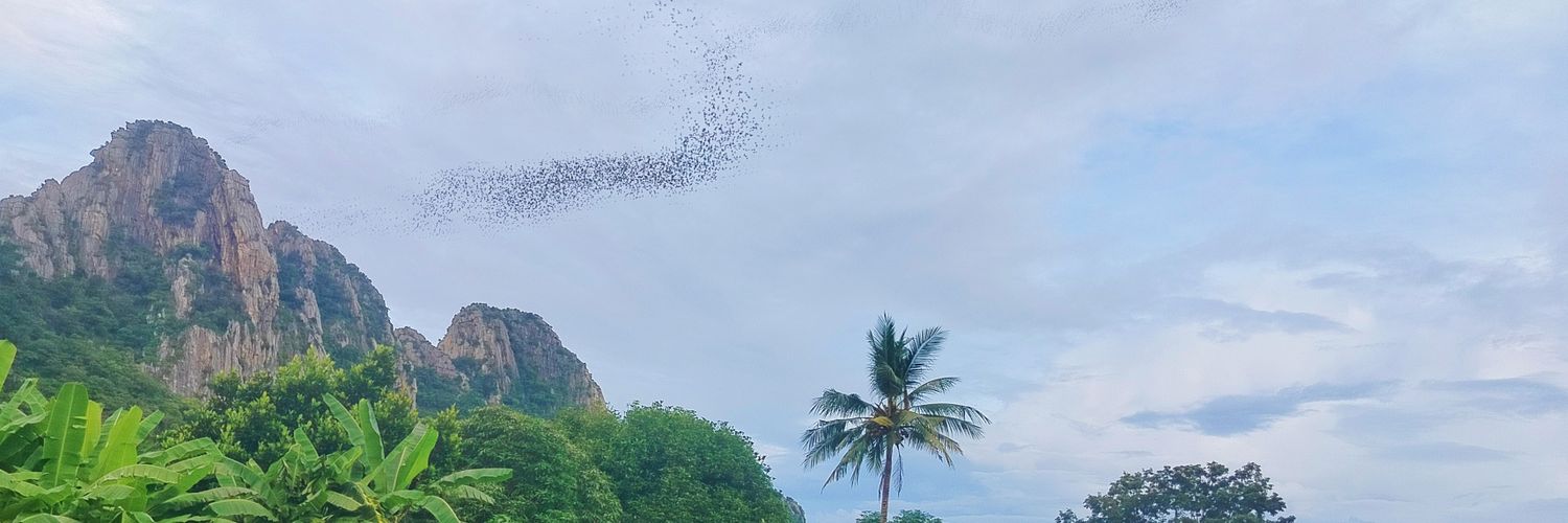 กาบริเอล | 🌞🪻🏔️🦇 banner