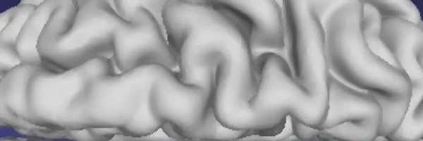 drnikkisullivan Profile Banner