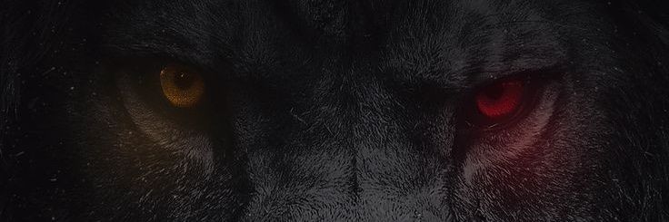 EmamAtif's profile banner image