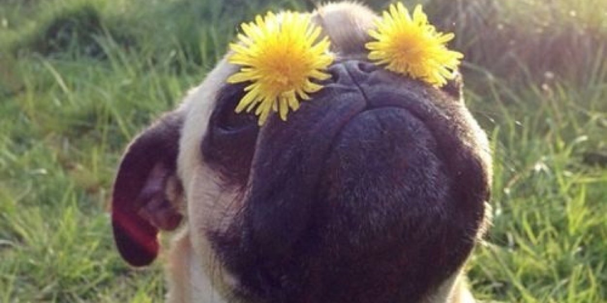 Its_MaryEllen's profile banner image