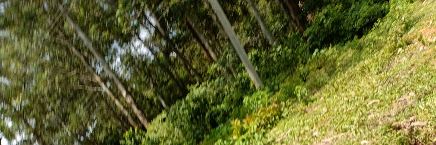 invisilin's profile banner image