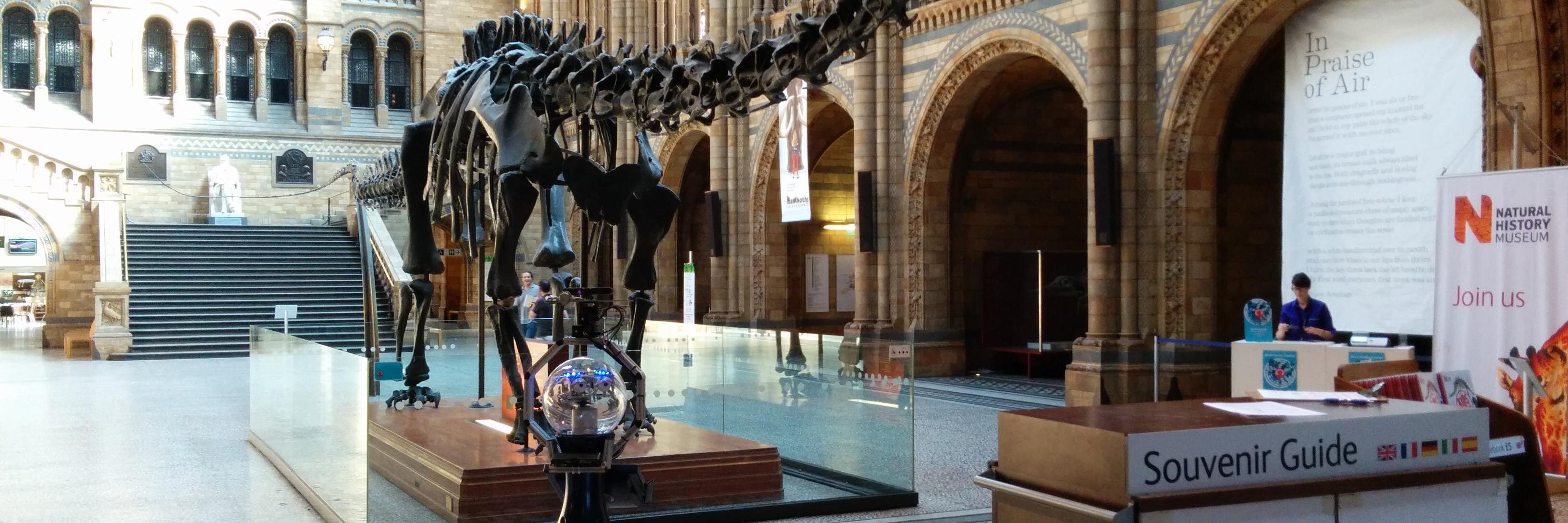 Linda Strands banner