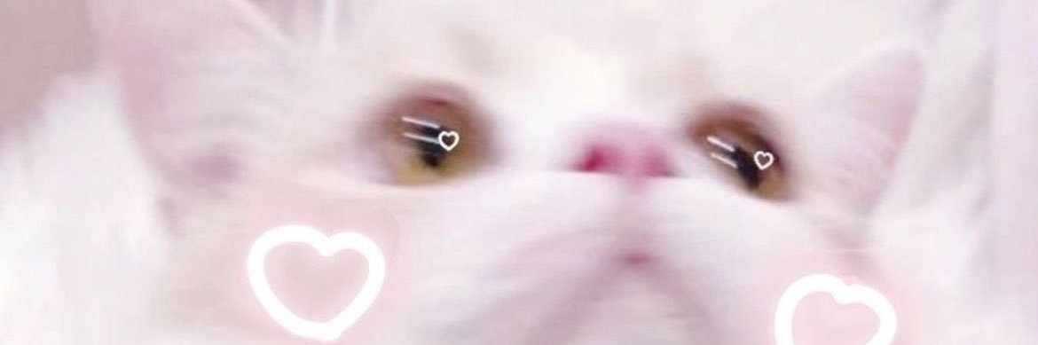 orz_mayu's profile banner image
