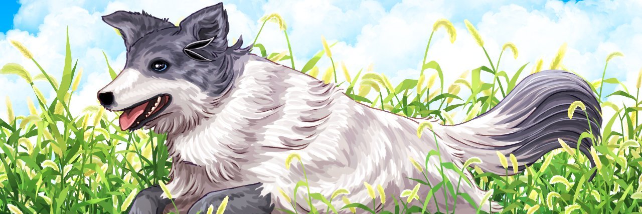chihiro_ookami's profile banner image