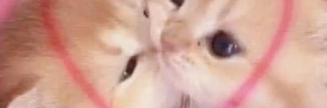 iiiikkkkkkzzz banner