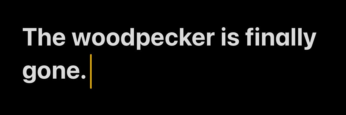 Stecks_'s profile banner image