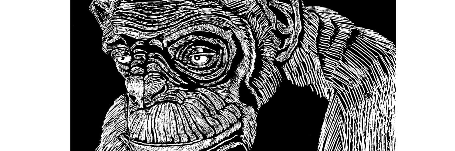 RaynileClement's profile banner image
