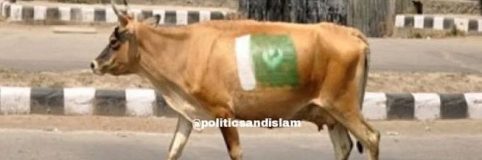 Rizwan ullah's banner