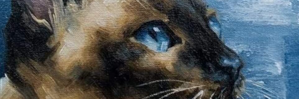 cony_orju's profile banner image