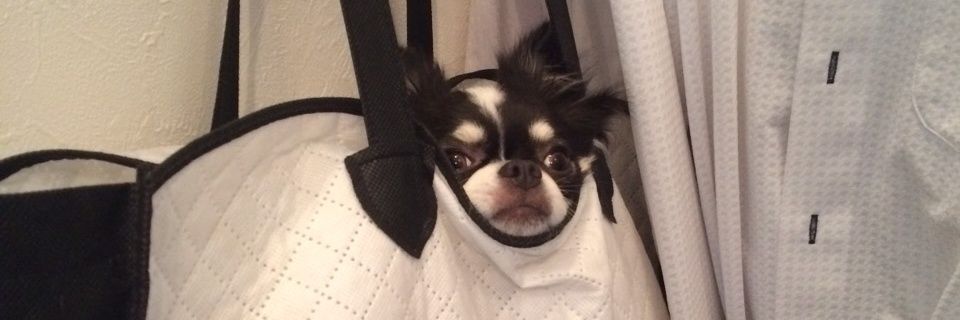 hitoiiberry's profile banner image