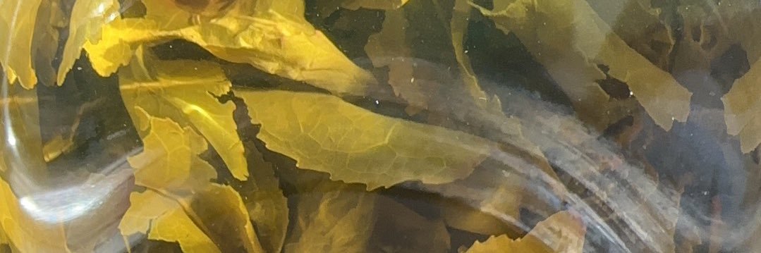 兴奋的不得了 banner