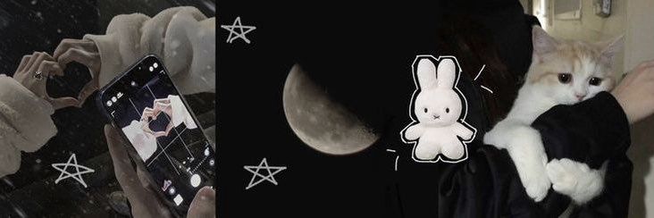 darl banner