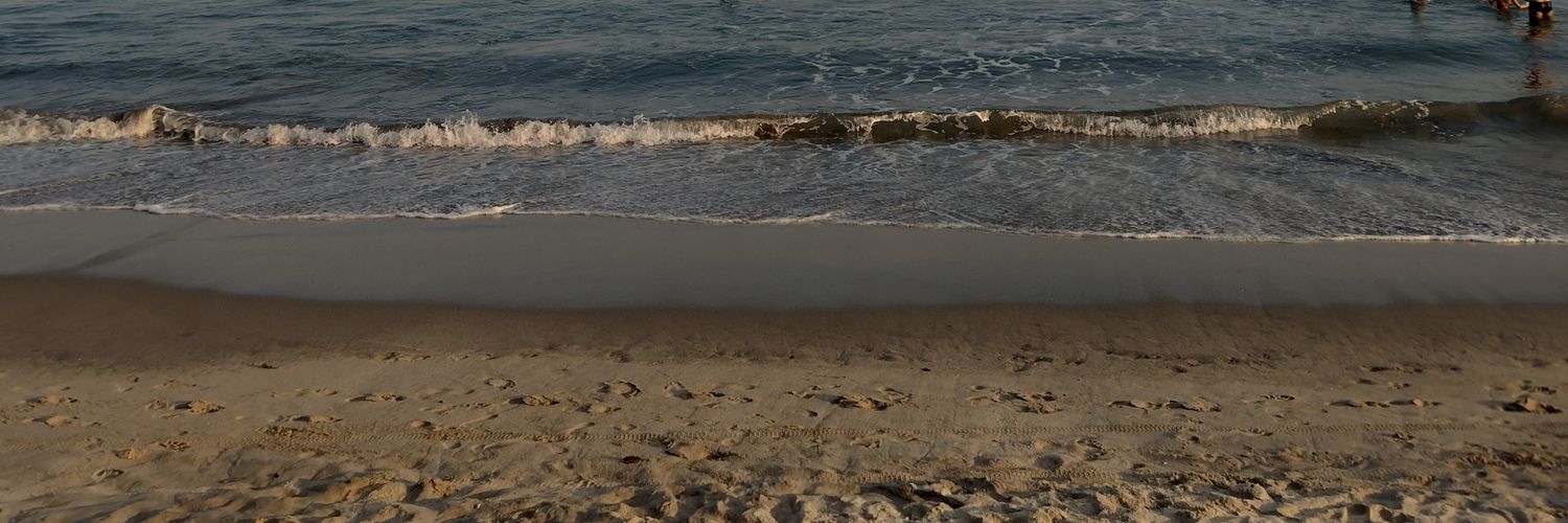Mannu Dias banner
