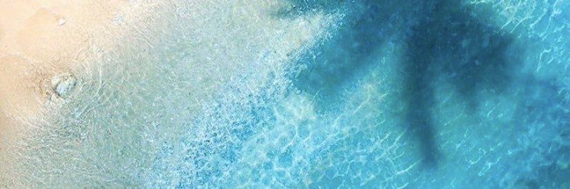 Viquisharry's profile banner image