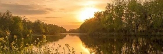 فيصل الكُتبيّ banner