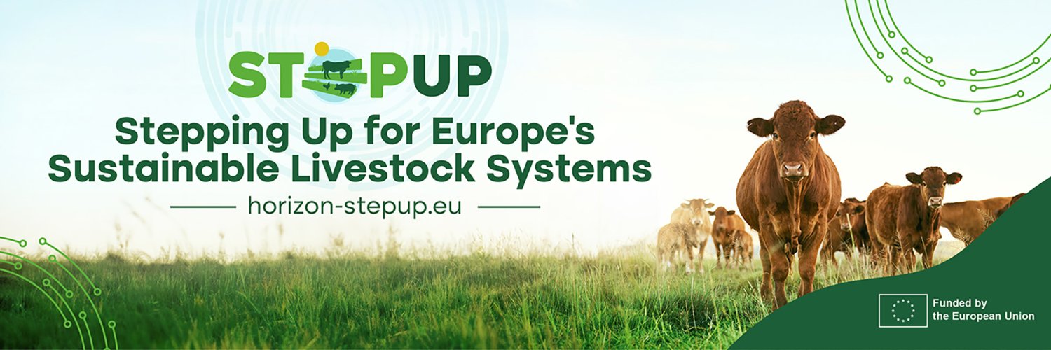 Horizon_StepUp banner