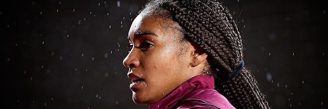 🐻‍❄️🦍 banner