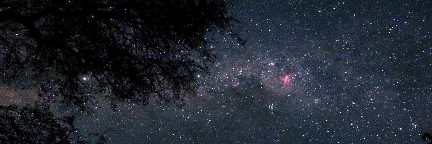 Lama Starling 🇬🇧🇱🇧 banner