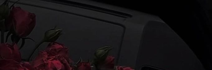 stillrosyy's profile banner image