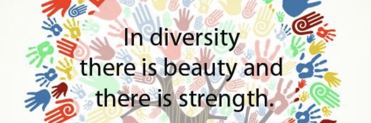 Rachel Meadows, PhD, MPH banner