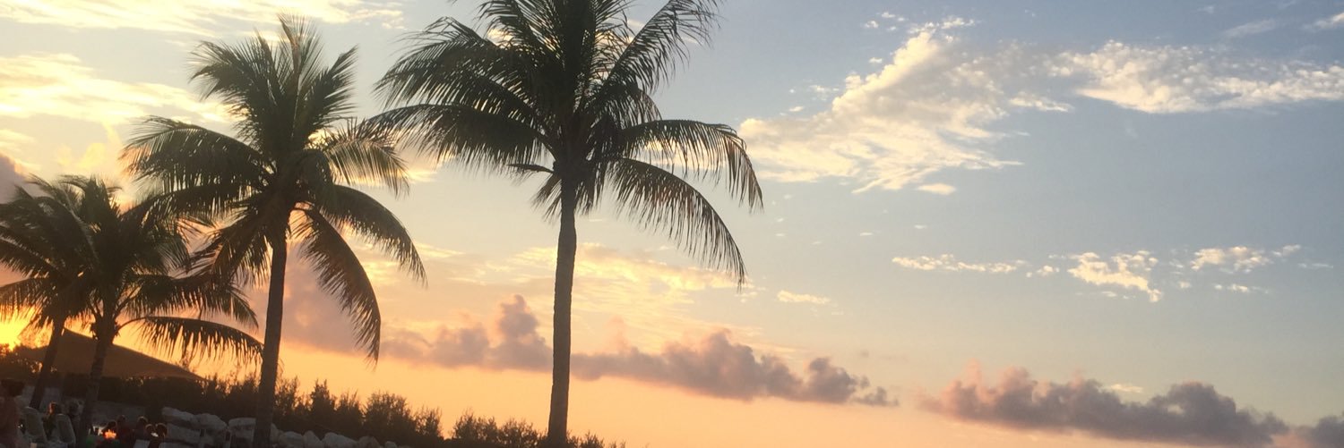 Randaroo293's profile banner image