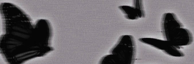ian banner