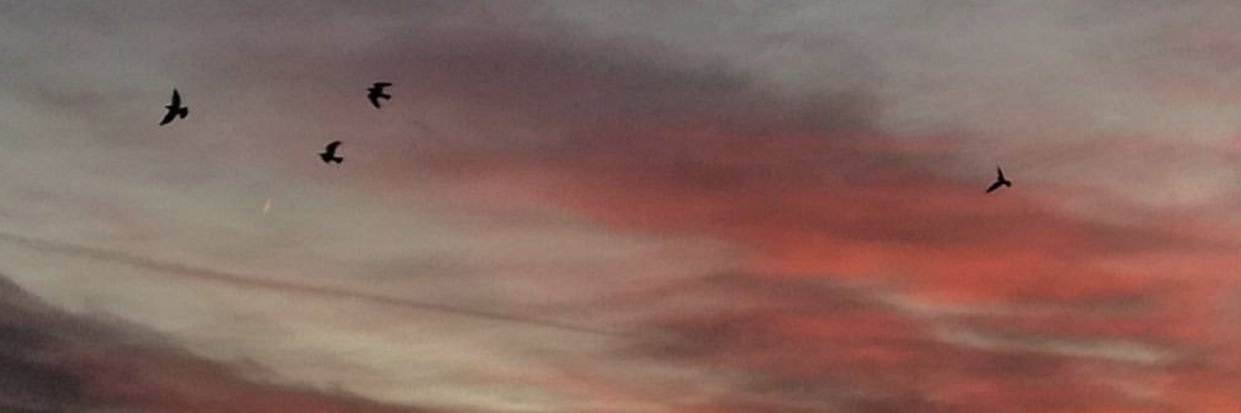 rozaliiee's profile banner image
