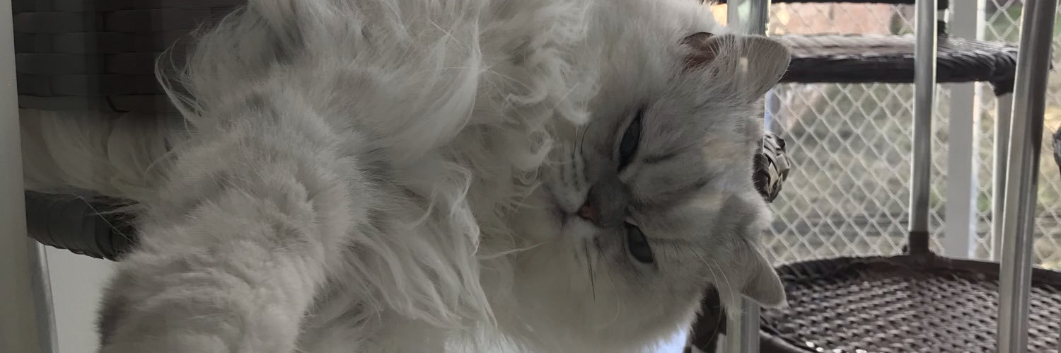 sussumateus's profile banner image