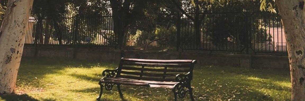 ZmrZamar's profile banner image