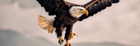 Donovan 💙♥️ banner