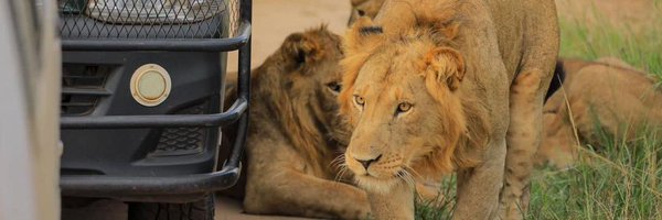 soin_safaris Profile Banner