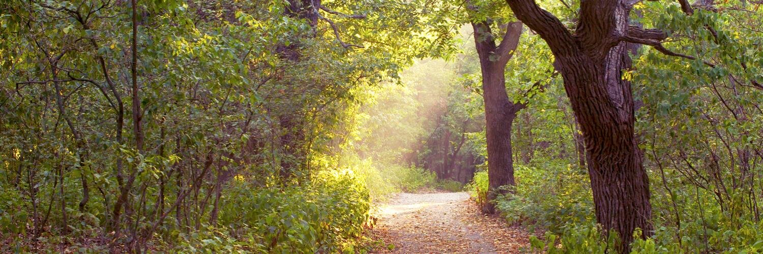 Iowa By Trail banner