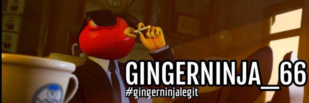 GingerNinja banner