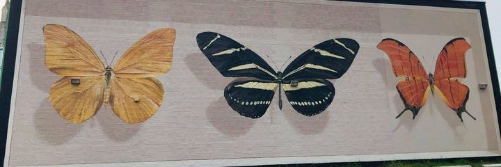 jgornto's profile banner image