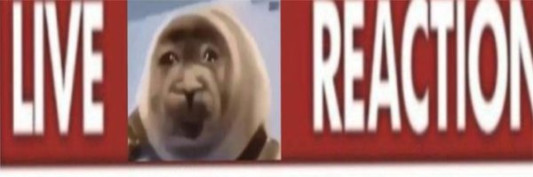 TRUECH4RA Profile Banner