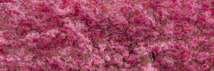 سـلوى♥️ الروقي banner