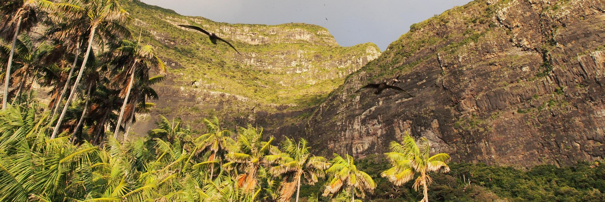 Simen markussen banner